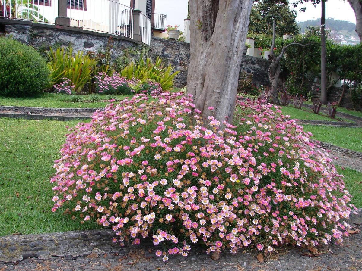 Romantic Studio Funchal  Exterior photo
